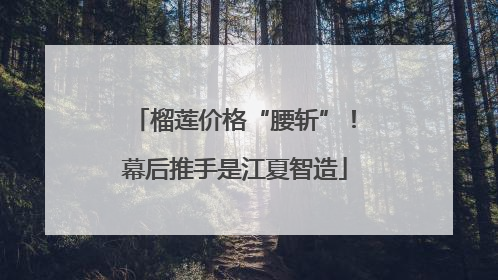 榴莲价格“腰斩”！幕后推手是江夏智造
